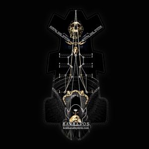 Extreme Patented Forms Barbatos 13cm - 300 pcs