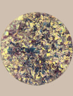 Galaxy Dust GD1 - Image 14